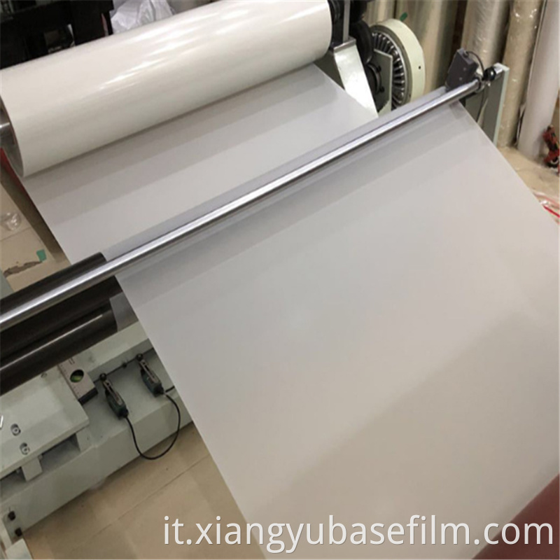 Matte Translucent Bathroom Film 2